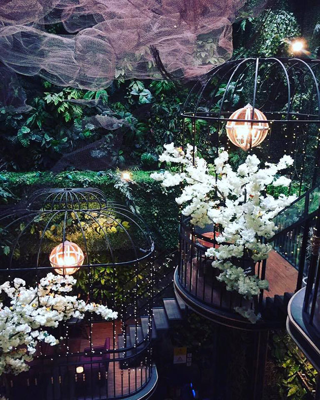 đồng hành cùng cafe terrace trang trí tết