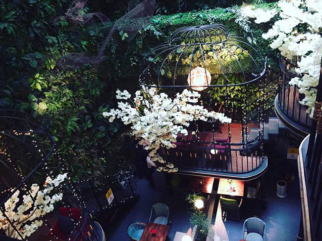 đồng hành cùng cafe terrace trang trí tết