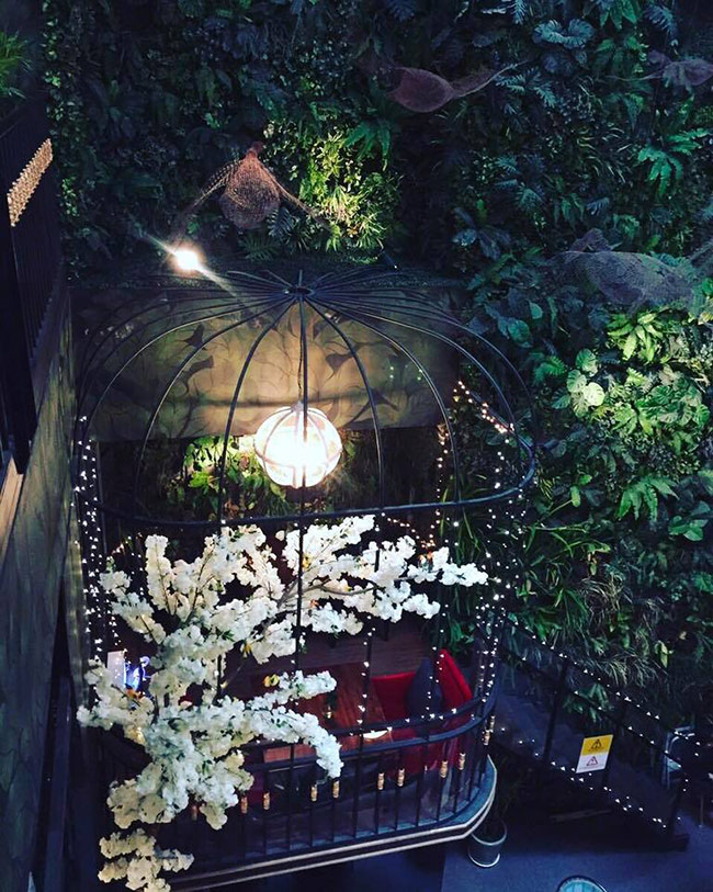 đồng hành cùng cafe terrace trang trí tết
